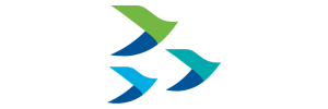 HY Electronic (Cayman) Limited