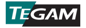 Tegam